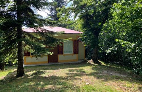 Saturnana Maison | Casa del Castagno: un nido nel castagneto