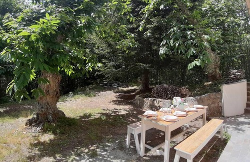 Saturnana Maison | Casa del Castagno: un nido nel castagneto
