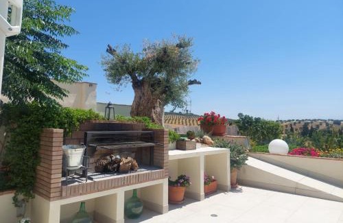 Alomartes Maison | Casa del olivo Lucio en Alomartes