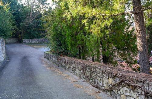 Pedemonte Appartement | Casa delle Magnolie