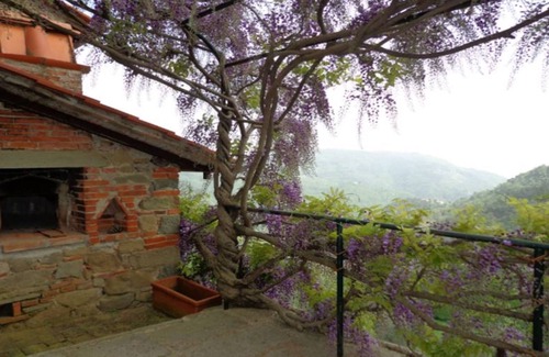 Pietrabuona Maison | Casa di Alfiero del Podere Cima di Zano - appartement pour 4 personnes