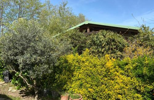 Sorbo-Ocagnano Chalet De Ski | Casa di Babbo …la Cabane
