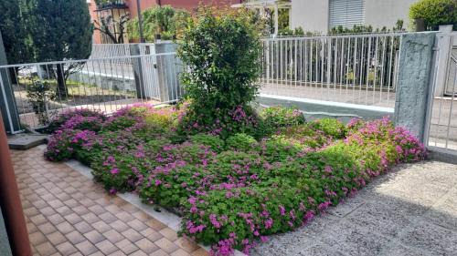 Treviso Appartement | Casa di Terry