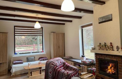 Banita Maison | Casa din Pădure