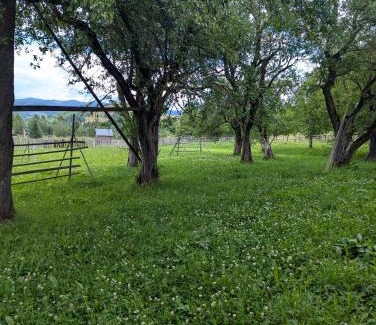 Vatra Moldovitei Maison | Casa dintre coline