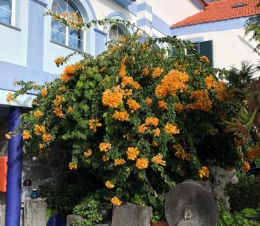 Velas Maison | Casa Do Antonio