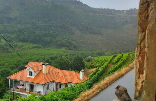 Lamego Villa | Ferme Recião - Maison de maison