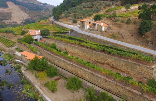 Lamego Villa | Ferme Recião - Maison de maison