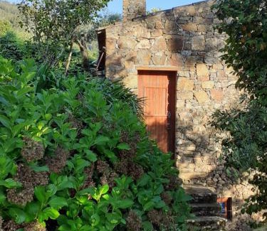 Aguas Belas Maison | Casa do Tôjo e Rosmaninho