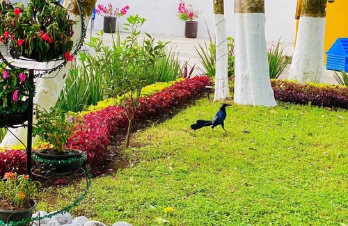 Xicotepec Appartement | CASA DON BENI (A PET-FRIENDLY SPACE IN THE HEART OF XICOTEPEC)