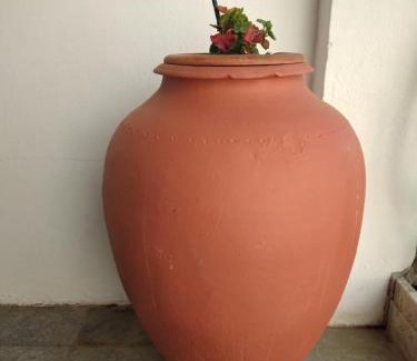 Vidigueira Maison | Casa dos Avós