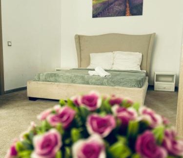 Cluj-Napoca Maison | Casa Dumbrăvița