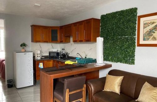 San Pedro Tlaquepaque Appartement | Casa duplex aeropuerto/arena VFG