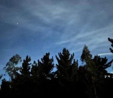 Pichilemu Maison | Casa Eco Bosque