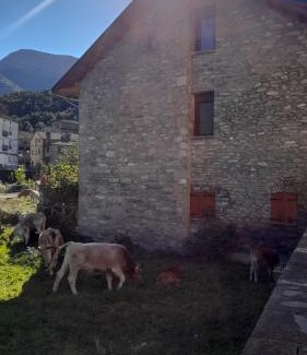 Fiscal Maison | Casa El Abeto