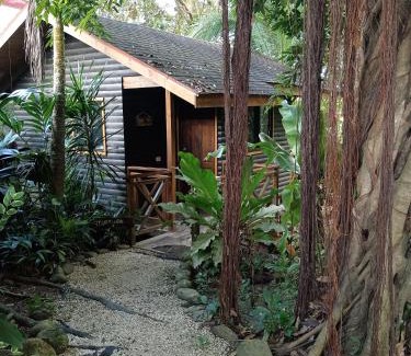 Canton Parrita Lit Et Petit-Déjeuner | Casa el Colibrí