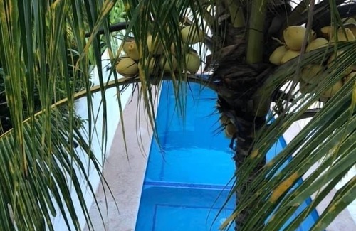 San Blas Maison | Casa en san Blas Nayarit con Alberca