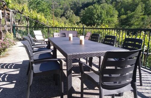 Nogueira de Ramuin Maison | Casa en Viñoas (Ribeira Sacra)
