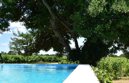 Palmela Maison | Casa Fernão Pires