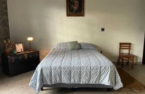 Mixquiahuala Maison | Casa Flora 32