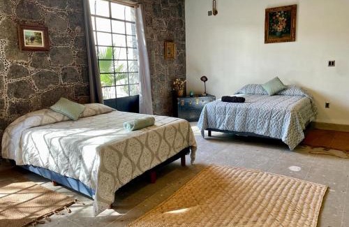 Mixquiahuala Maison | Casa Flora 32