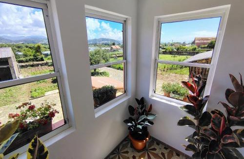 Tabagon Maison | Casa Folhas Novas