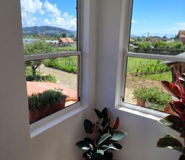 Tabagon Maison | Casa Folhas Novas