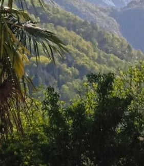Terre di Pedemonte Appartement | Casa Francesca