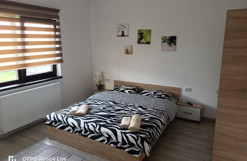 Toplita Maison | Casa Gabriela