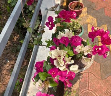 Devikolam Maison | Casa Grande Homestay Anaviratty Munnar