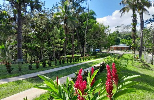 Carara Maison | Casa Grande Para 5-12 Personas, Complejo Turistico Fuga Ecolodge