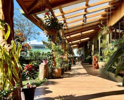 Monteverde Lit Et Petit-Déjeuner | Casa Haydee Monteverde