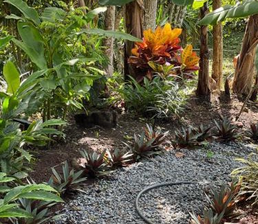 Daniel Flores Maison | Casa Hummingbird Peace & Nature