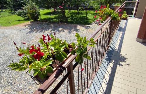 Montalto Dora Appartement | Casa Ikigai - accogliente e spaziosa