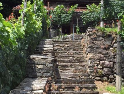 Roveredo Appartement | Casa immersa nel vigneto