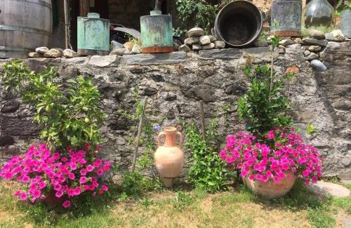 Roveredo Appartement | Casa immersa nel vigneto