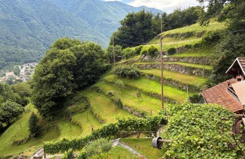 Roveredo Appartement | Casa immersa nel vigneto