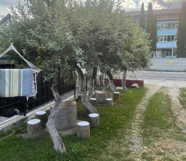 Oestii Paminteni Maison | Casa Ioana