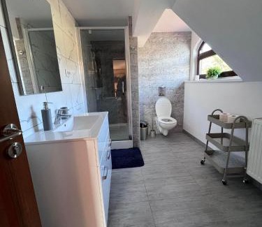 Bistrita Bargaului Maison | Casa Iris Colibita