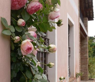 Vaglio Serra Maison | Casa Isabella