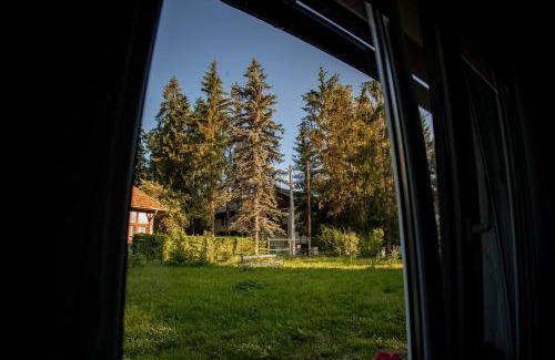 Jibert Maison | Casa Izvoru Mureșului