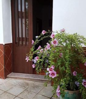 Puerto Moral Maison | Casa Jara