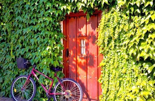 Coca Maison | Casa Jardín El Arco