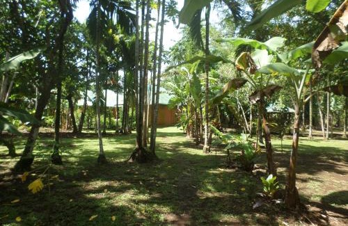Pila Maison | Casa Jean, comfortable avec piscine