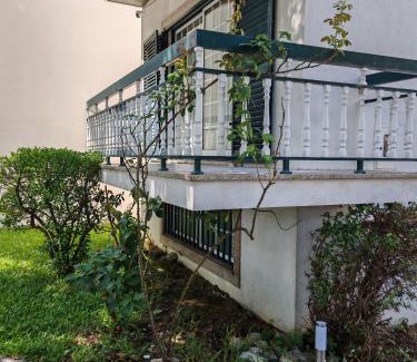Sao Miguel do Rio Torto Maison | Casa Jugueiros