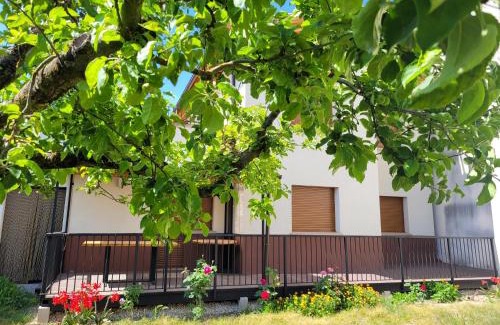 Riezu Maison | Casa Julio, bonita casa cómoda y espaciosa, totalmente reformada con terraza y jardin privado