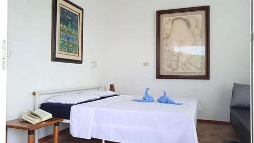 Pandi Maison | Casa La Felisa hospedaje campestre Pandi cundinamarca