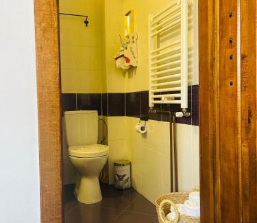 Eftimie Murgu Maison | Casa "La Moara din Grădină"