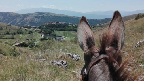 Santo Stefano di Sessanio Appartement | Casa Ladyhawke