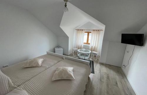 Peceneaga Maison | Casa Laura